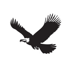 Obraz premium eagle in flight