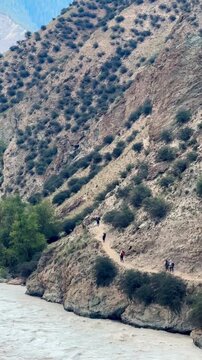 The vertical video shows a stream in a pine forest in Xinjiang, China. A group of hikers can be seen in the distance on a sunny day. Against a backdrop of hills and mountains.