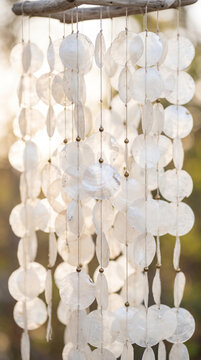 Handmade Capiz shell wind chime with opalescent disk and brass bead hanging on driftwood for extra celestial aesthetic and coastal home decor