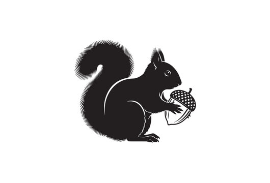 Black squirrel silhouette, animal icon, wildlife illustration, vector graphic