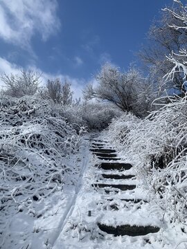 Snow-covered stone steps lead through a winter landscape with frosty trees beneath a bright blue sky.