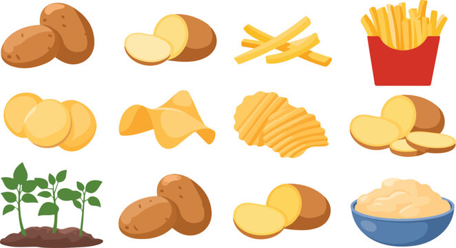 Flat cartoon illustration of potatoes and derivatives including fries chips wedges mashed potato plant grid white background