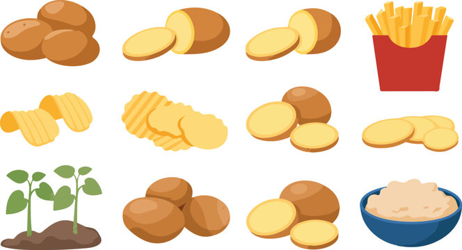 Flat cartoon illustration of potatoes and derivatives including fries chips wedges mashed potato plant grid white background