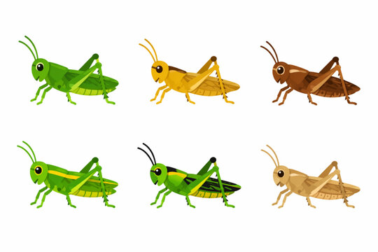 A set of flat colored grasshopper icon illustrations on a plain background. 