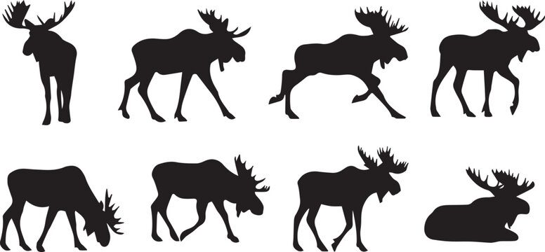 Collection of moose silhouettes in various poses like running and grazing