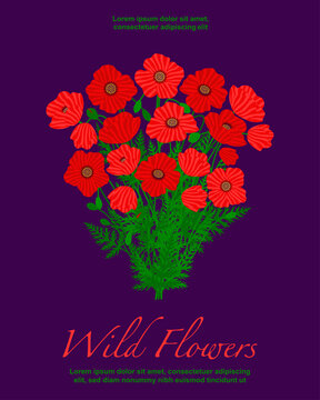 Wildflowers bouquet poster. Floral card with a papaver bouquet, meadow plants and text. Botanical vector flat design illustration.