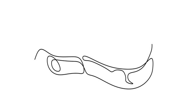 Animated self drawing of continuous line draw of  veal, pork, beef, veal, meat on the bone   . Full length one line animation. 4K	