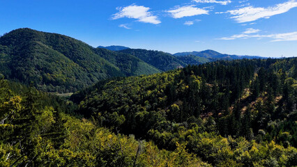 Fototapeta premium Aerial view of lush green forest with mountains creating a serene nature setting, Sitka, Alaska, USA.