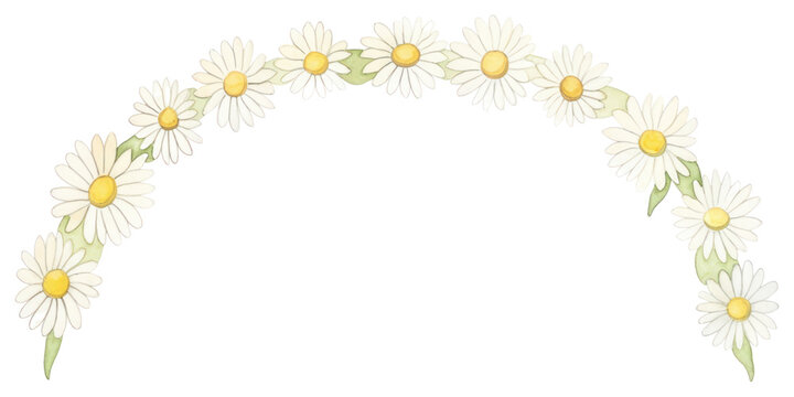 PNG Daisies as semicircle shape pattern flower daisy.