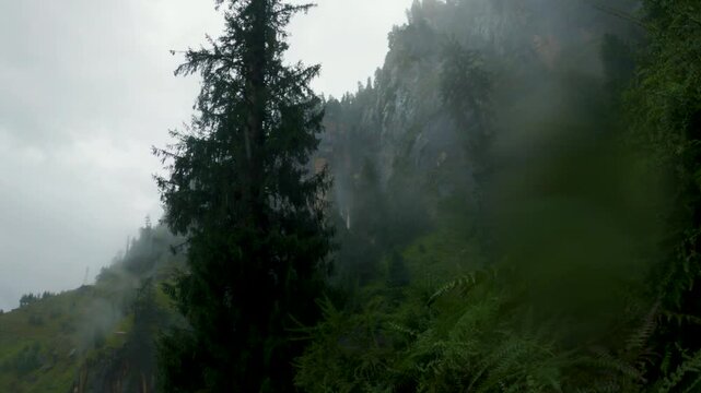 Misty mountain with pine trees, clouds and rain near Jogini waterfall, Manali, India. Rainy weather dark landscape. Nature travel background.
