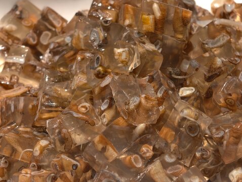 Close-up of Tu Sun Dong (Sipunculus nudus jelly), traditional Fujian snack with translucent gelatinous cubes