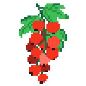 Pixel Art Redcurrant - Pixel Boyama Art Sample