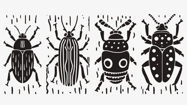 Four black and white beetle illustrations with unique shapes and patterns on display