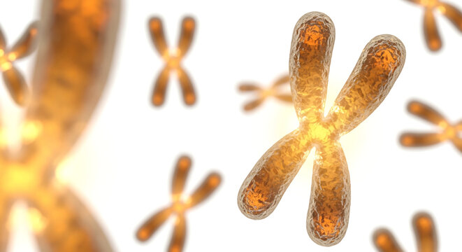 A 3D illustration of chromosomes in a scientific concept, showcasing genetic material in a medical or biological context.