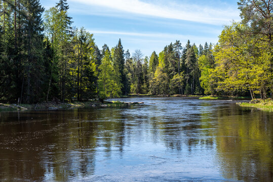 Swedish river and natural saalmon area in autumn. Farnebofjarden natinal park in north of Sweden.