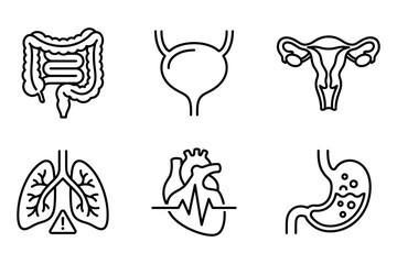 Fototapeta premium Human internal organ icons set featuring digestive and respiratory system symbols in minimal line style internal intestine
