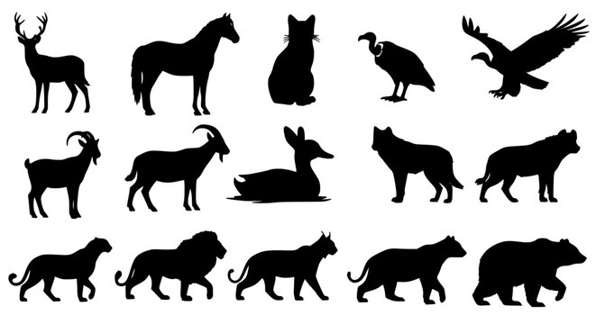 Set of black silhouette animals and birds in dynamic poses