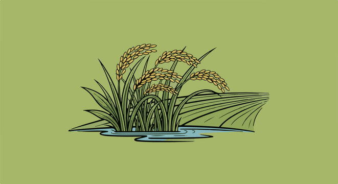 Stylized illustration of ripe rice stalks in water with a field