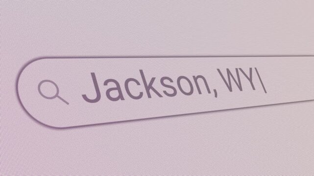 Search Bar Jackson WY 
Close Up Single Line Typing Text Box Layout Web Database Browser Engine Concept