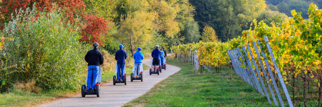 Group of people riding segways through vineyard path during sunny fall day
