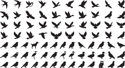 Fototapeta premium Bird Silhouettes Set Flying and Standing Poses Vector Collection