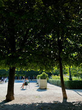 Beautiful garden scenery at Jardin du Palais Royal in Paris, lush greenery with elegant historic architecture, peaceful urban park under clear sky