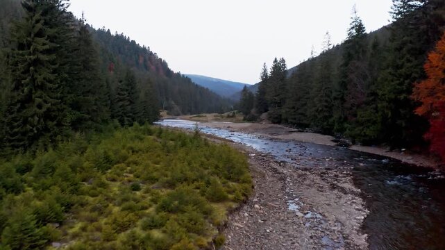 River rapids near mountain foothill with terracotta forests