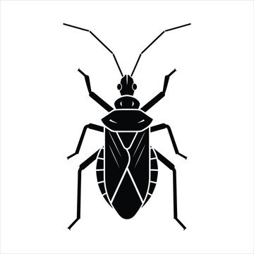 Assassin bug black silhouette vector illustration top view isolated on white
