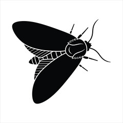 Flying moth black silhouette vector illustration top view isolated on white © PicNest