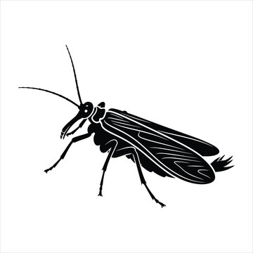 Stonefly black silhouette vector illustration side view isolated on white
