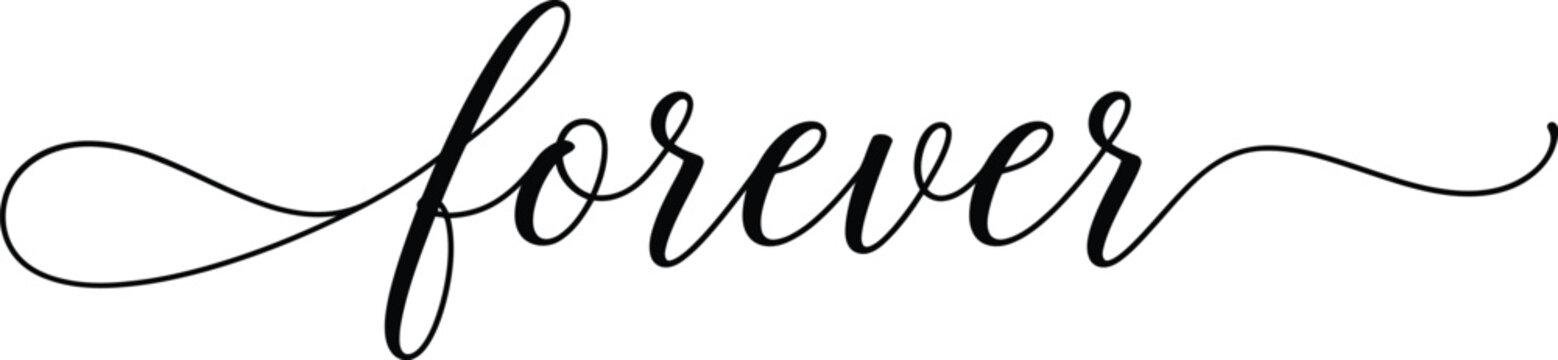 Elegant calligraphic vector illustration featuring the word forever in a sophisticated script design