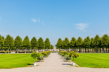 Fototapeta premium garden with neatly arranged trees and paths in a sunny location during the day
