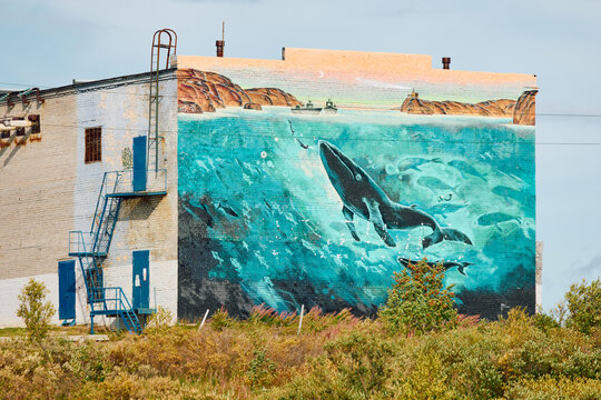 Russia, Teriberka, 13 September 2025: an image of a whale in azure water on one of the buildings, beautiful graffiti