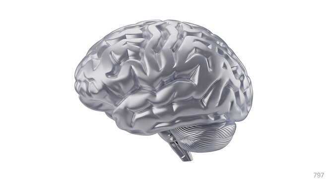 A metallic brain illustration with a futuristic design on a white background
