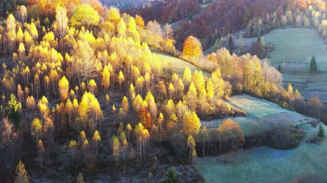 High mountains with terracota trees at bright sunrise