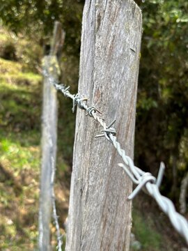 Alambre de puas en alambrada en poste de madera.