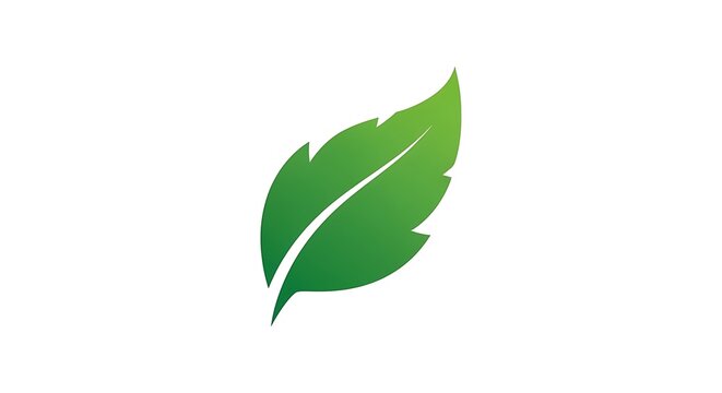 Single green leaf on white background.