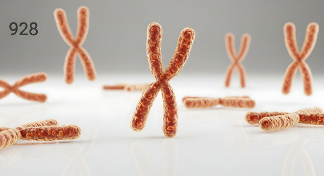 A graphic illustration of chromosomes in a scientific design