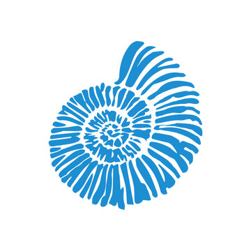 Abstract Nautilus Shell Spiral Blue Vector Illustration Minimal Marine Design