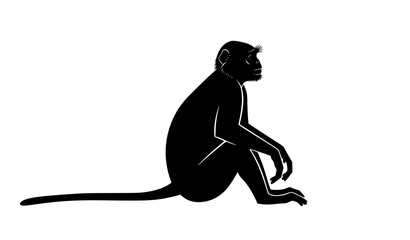 Langur silhouette side view vector illustration of wild monkey isolated on white background © Md Humaun