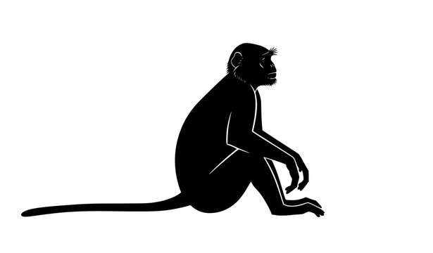 Langur silhouette side view vector illustration of wild monkey isolated on white background