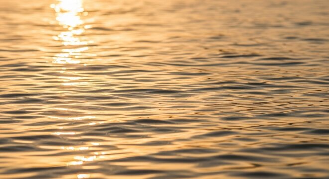 Golden sunlight shimmers on gently rippling water