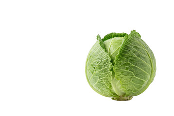 Fototapeta premium Whole fresh green cabbage head isolated on black