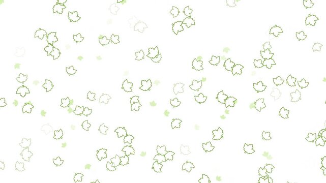 新緑 カエデ 枠 下降 若葉色 パターン01 ループ（白背景）