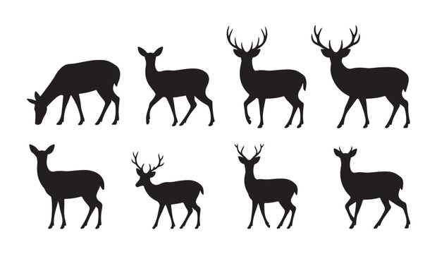 Collection of eight deer silhouettes showing various poses and antler designs on white background vector illustration.