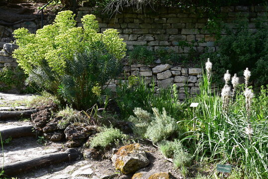 Jardin de rocaille&nbsp;au&nbsp;printemps