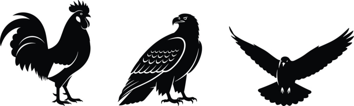 Black silhouette set of rooster eagle and flying bird isolated on white background vector illustration wildlife animal collection design