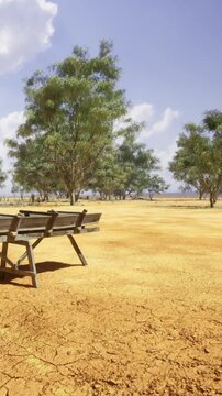A dry landscape shows a wooden bench near cracked earth under a clear sky. Green trees are scattered in the distance on this sunny day.