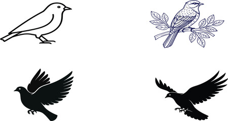 Obraz premium Set of Hand-Drawn Birds in Various Styles and Poses for Nature Illustrations, Wildlife Art, and Educational Content