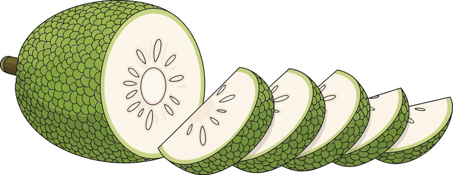 Jackfruit slices are arranged neatly on a clean white background for.